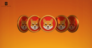 Shiba Inu