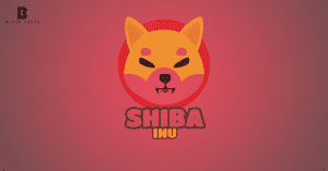 Shiba Inu