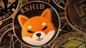 Shib