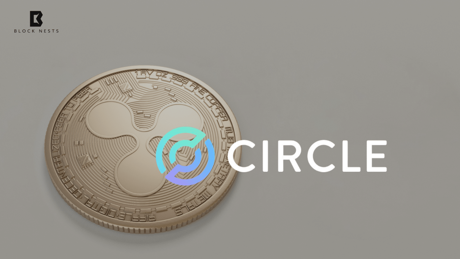 Ripple’s $11B Circle Bid Could Shatter Crypto Monopoly, Hoskinson Says