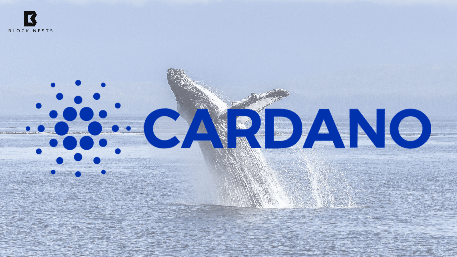 Cardano (ADA) Holds Above $0.66 as Whale Activity