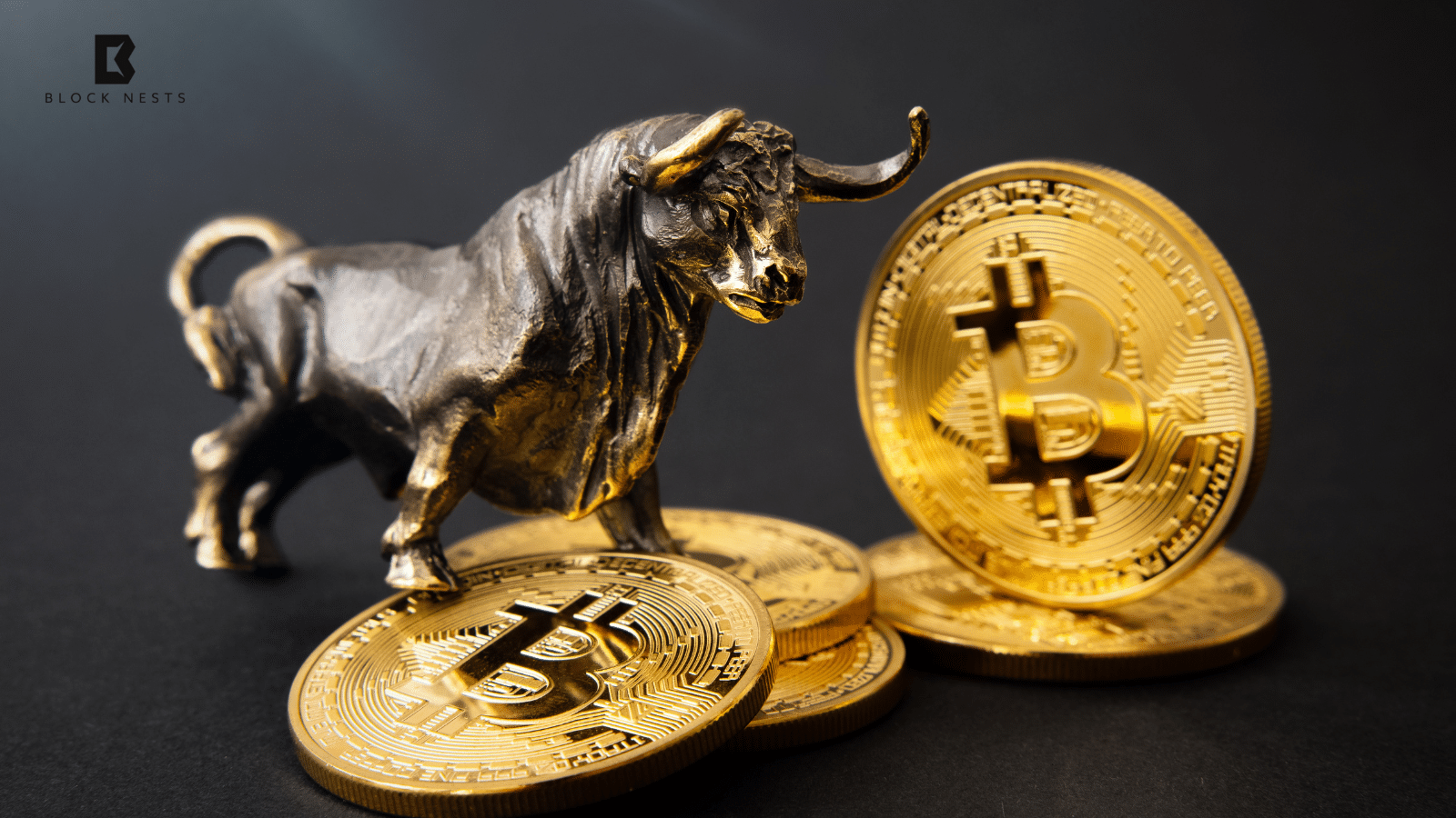 Bitcoin’s Bull Zone: Is the Next Surge About to Happen?
