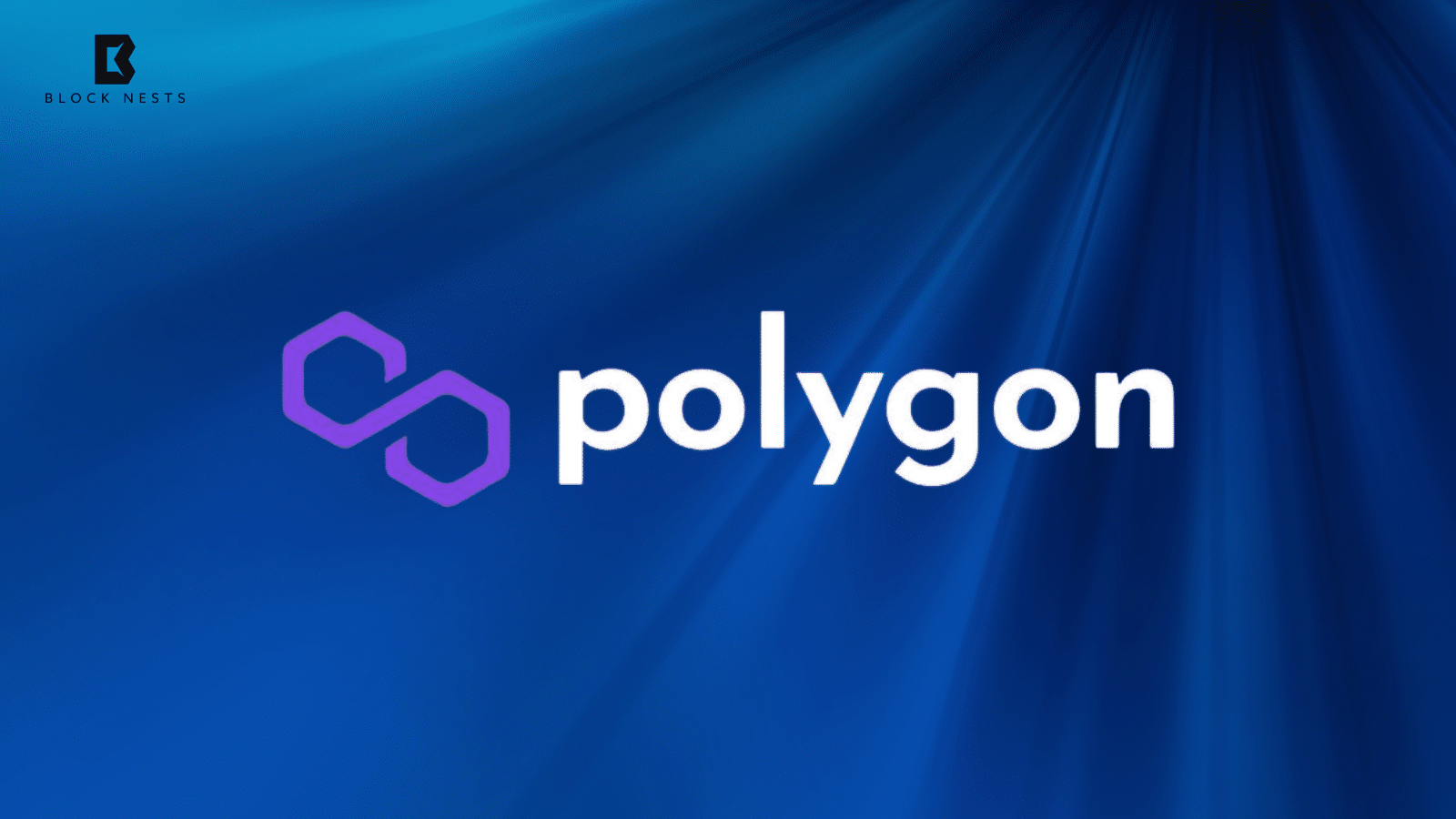 Mihailo Bjelic Steps Down: What’s Next for Polygon’s Future?