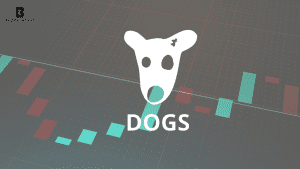 dogs