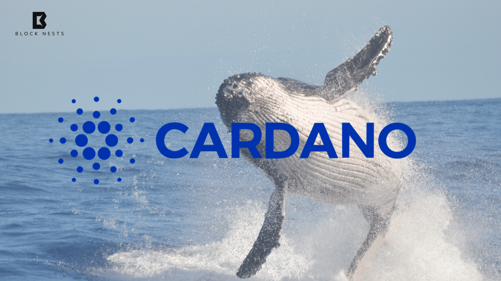 Whales Scoop Up 180M ADA as Cardano Hits Major Bitcoin Integration Milestone