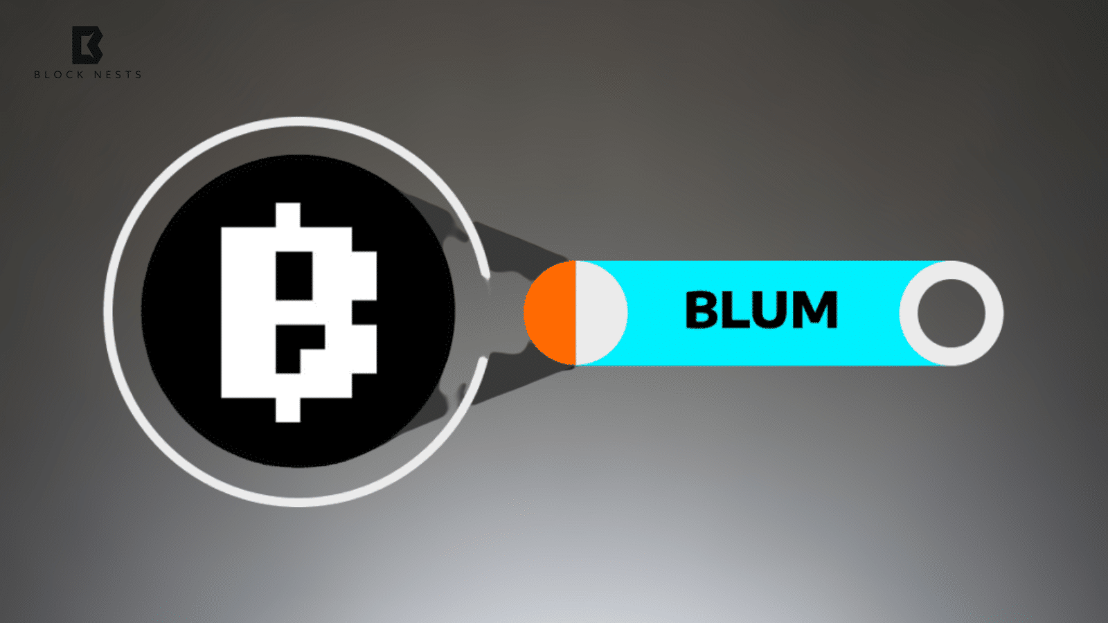 Blum in Crisis: Co-Founder Arrested on Fraud Charges, What’s Next for the Crypto Platform?
