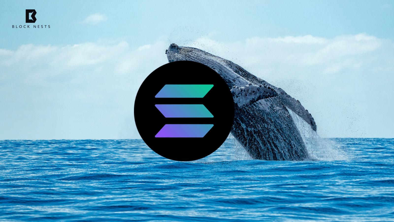 SEC Delays Grayscale Solana Decision as Whales Snap Up Millions in SOL