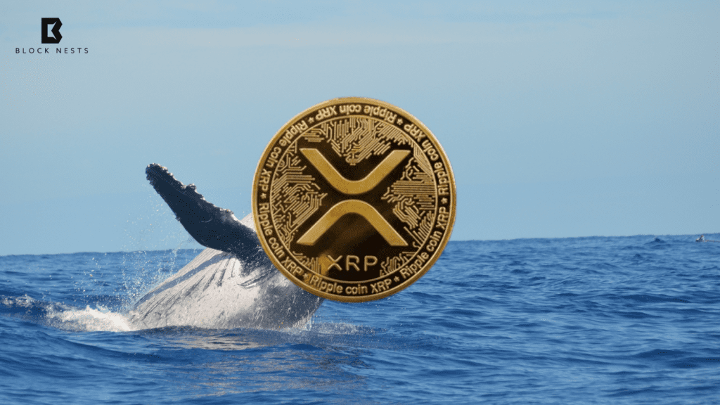 xrp