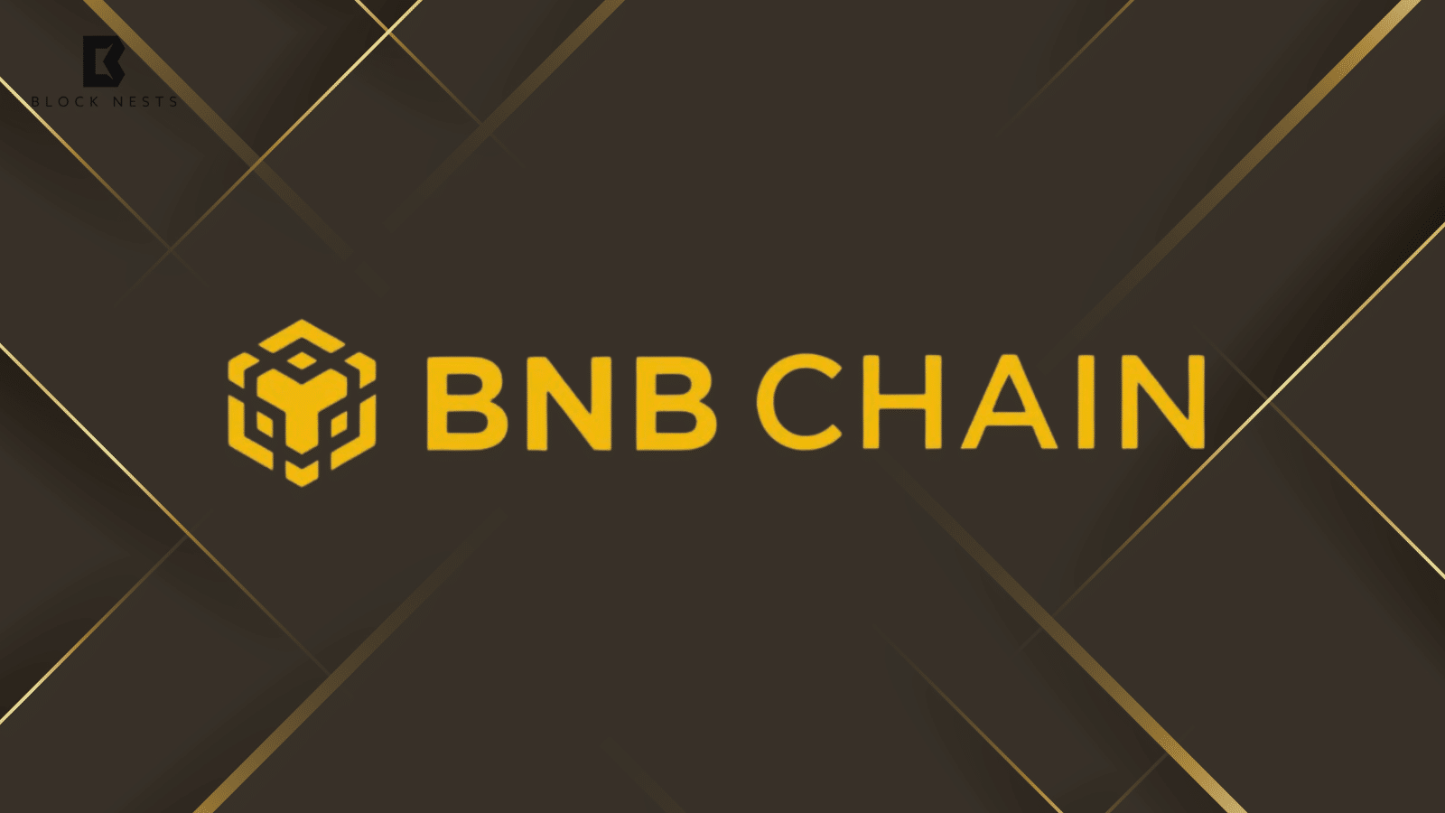 BNB Chain Dominates Crypto Stablecoin Space with Free USDT and USD1 Transfers, Cross-Chain Support, and $10B Market Cap