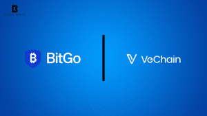 VeChain