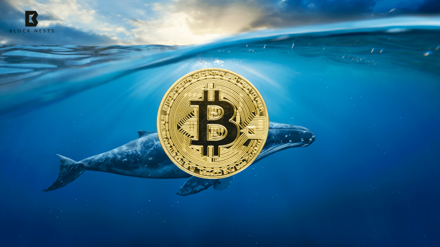 Bitcoin Faces Uncertainty as $3.78 Billion in Dormant BTC Moves