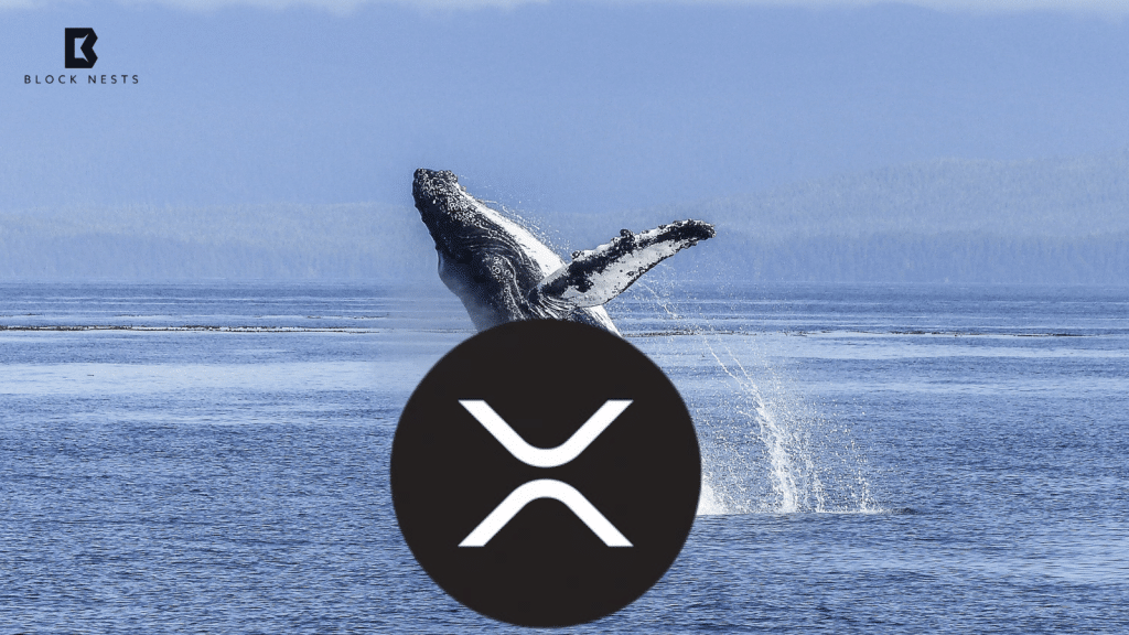 XRP