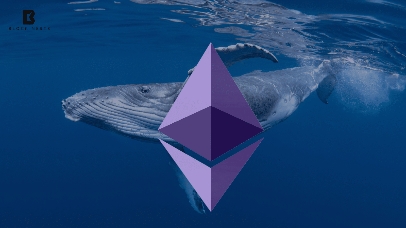 Ethereum ICO Whale Offloads $9.9 Million to Kraken Amid Price Rally