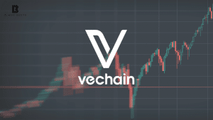 vechain