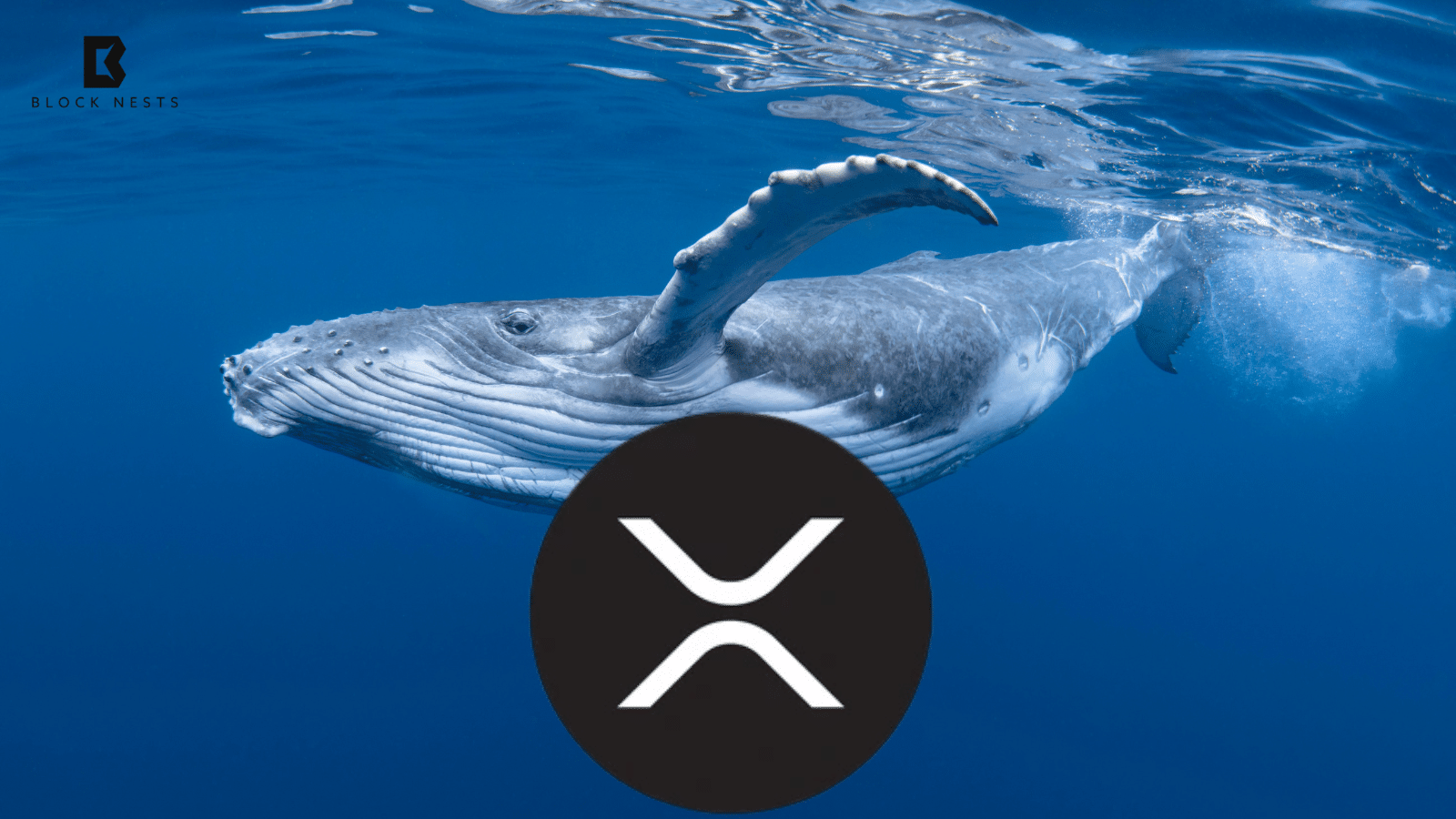 Whales Move $50M XRP to Coinbase as Ripple’s SEC Case Officially Closes