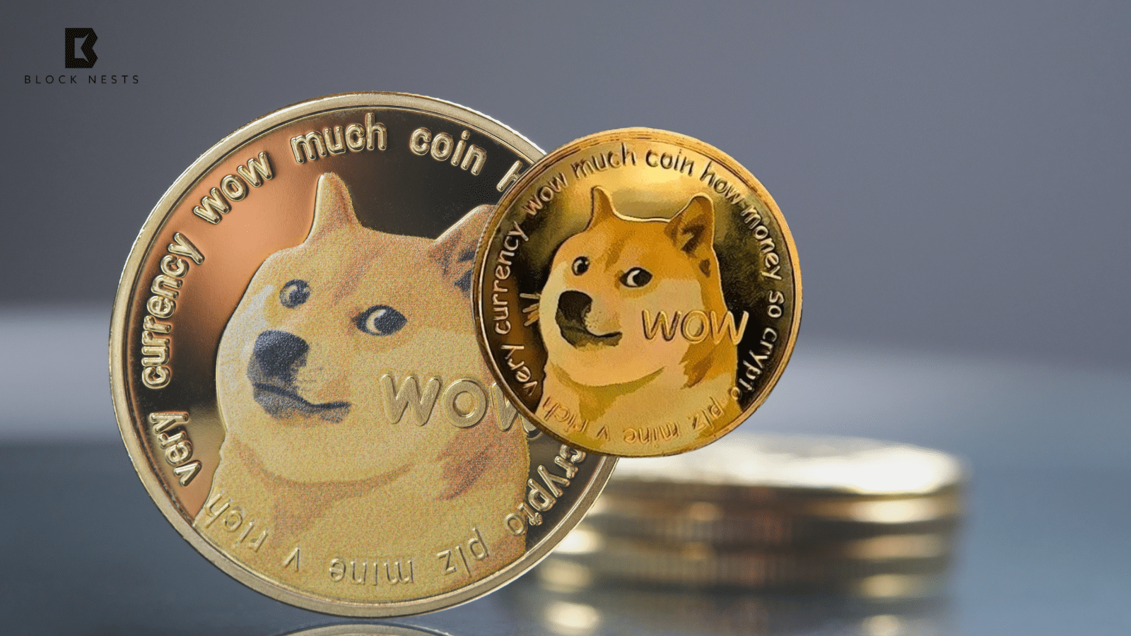 Dogecoin Reserve Launched as House of Doge Buys 10 Million DOGE for Global Payments