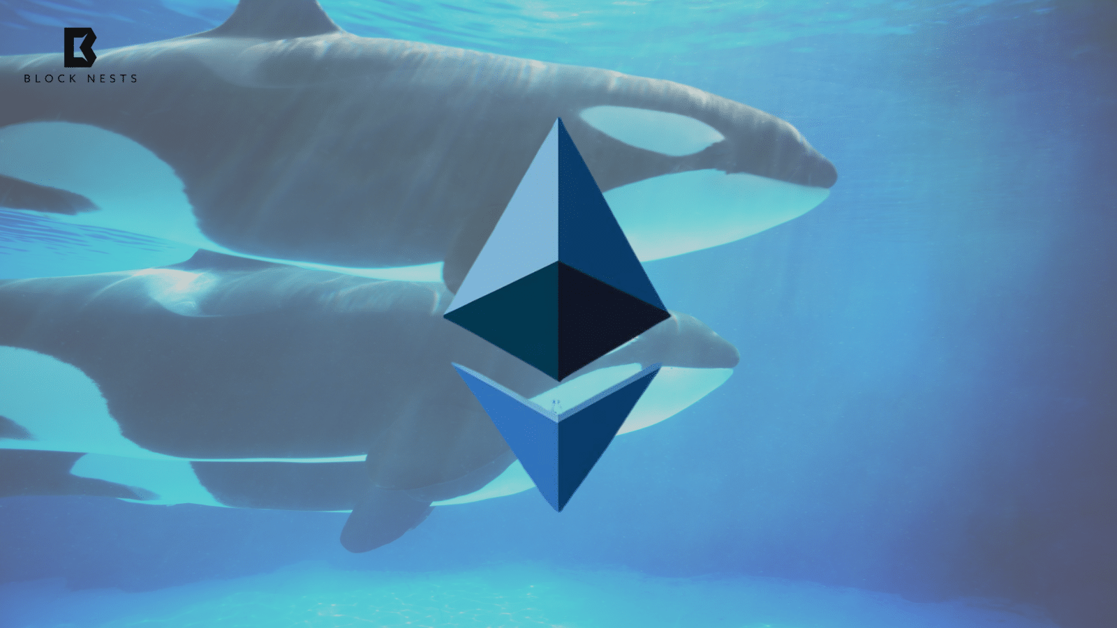 Whales Scoop $229M in Ethereum as Exchange Balances Hit Historic Lows