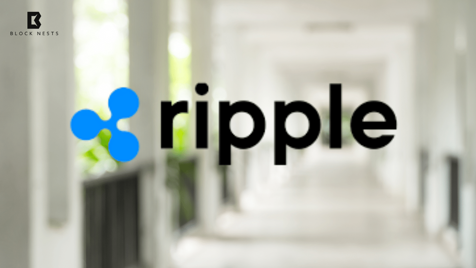 Ripple’s $25 Million Gift Transforms Small Business and Veteran Careers!