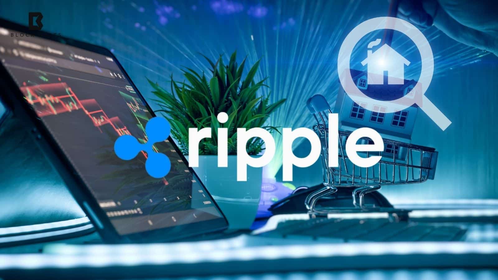 Ripple Launches Digital Asset Spot Prime Brokerage Services for U.S. Institutions