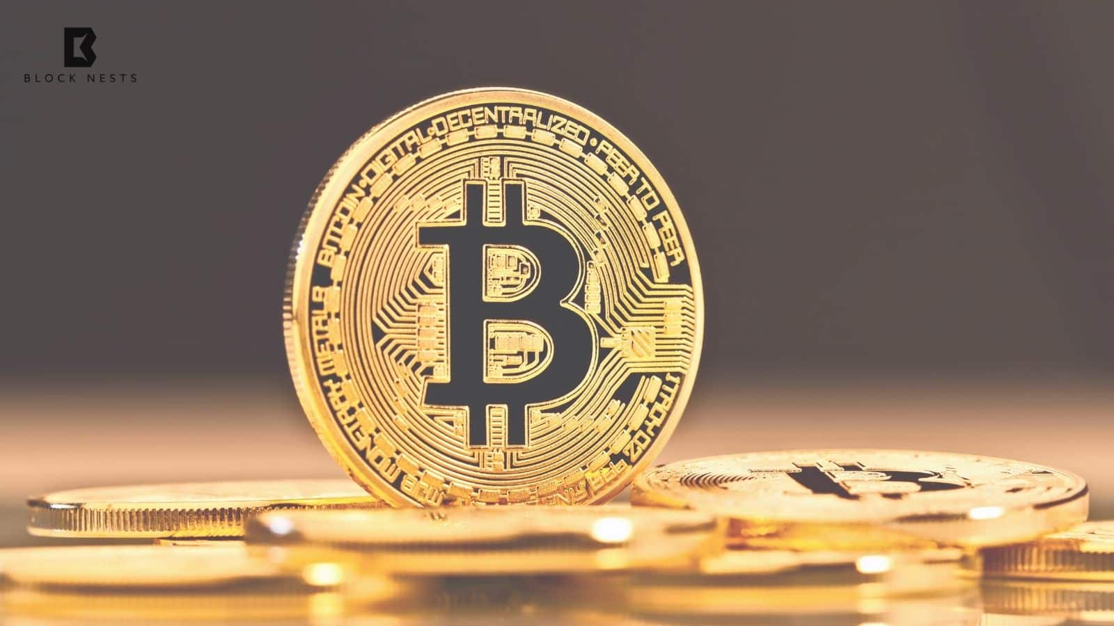 Long-Term Bitcoin Holders Reposition Assets as Market Shifts Toward Stability