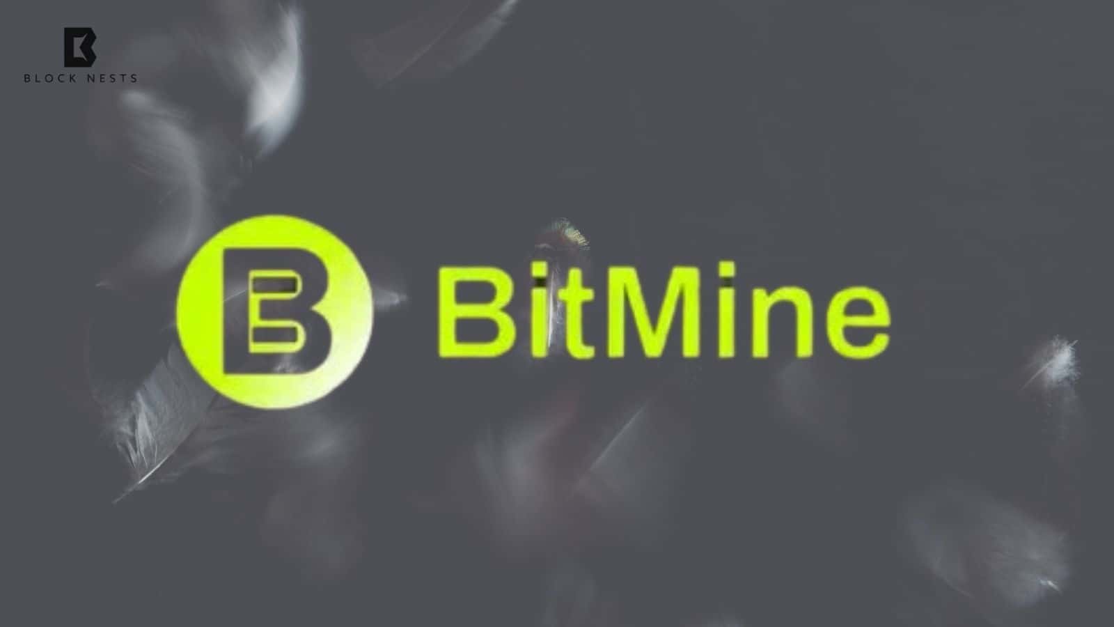 Bitmain Slashes Bitcoin Miner Prices: S19 and S21 Units Now at Record Low Rates