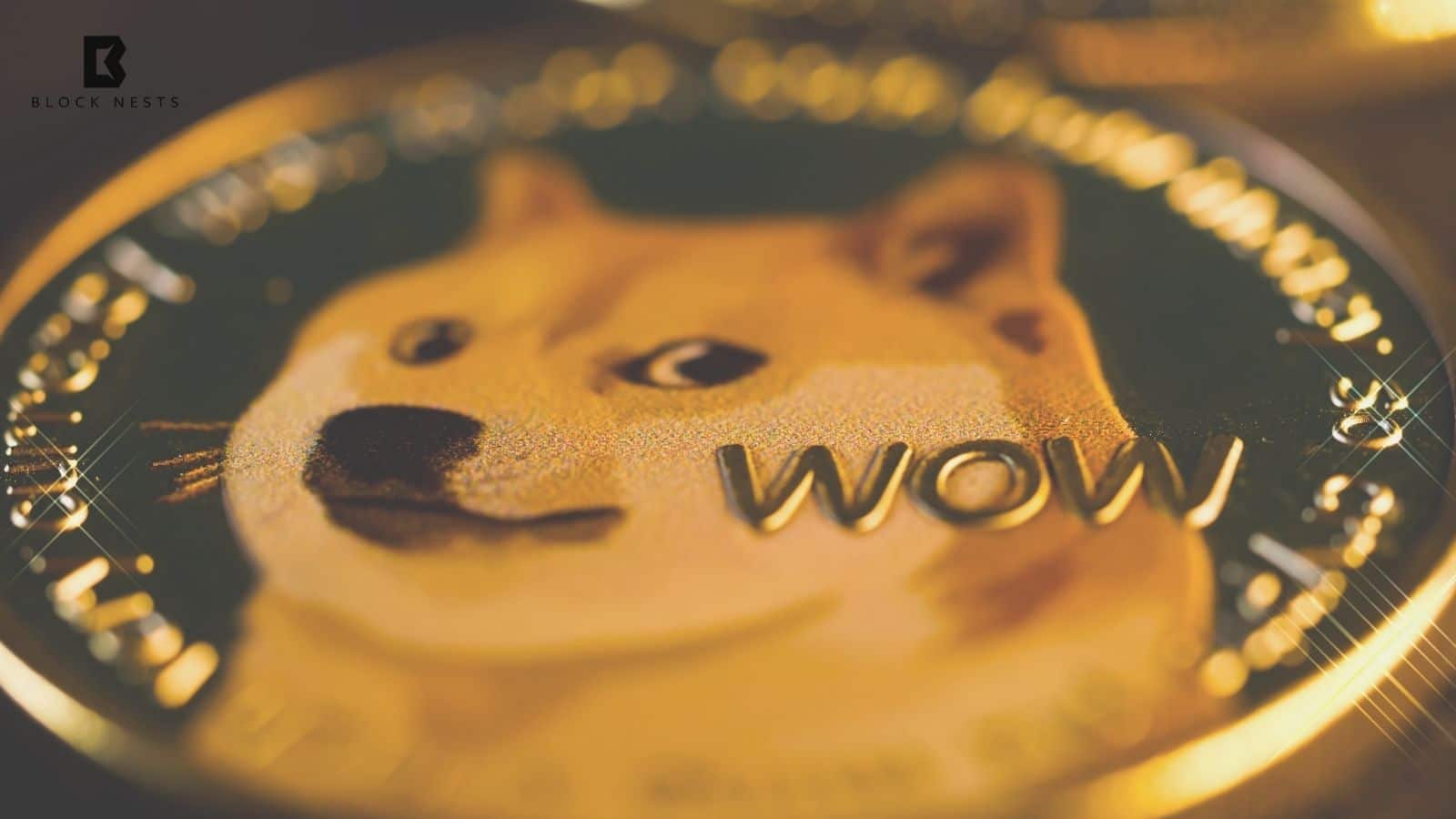 21Shares Launches Dogecoin ETF TDOG on NASDAQ for Simplified Crypto Exposure