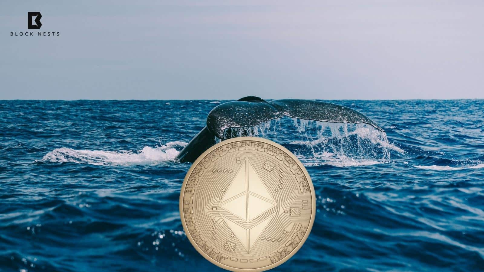 Ethereum Whale Wakes After 9 Years, Moves $145M ETH as Market Slides