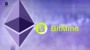 BitMine