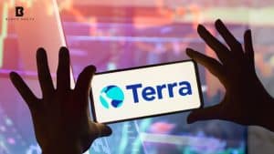 Terraform Liquidator Targets Jane Street in Terra Collapse Bombshell