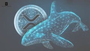 XRP Whales Surge as Retail Explodes, Market Power Shift Sparks Debate