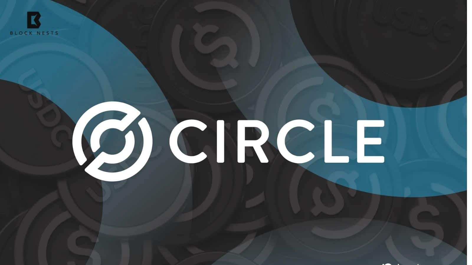 Circle Executive Reveals Top Leadership Traits for a Fast-Changing World