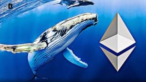 Ethereum Whale Sparks $17M Shift as DeFi Demand Surges Rapidly
