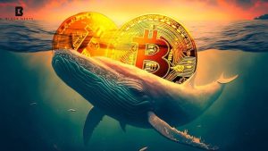 Bitcoin Whale Transfers 300 BTC to Binance, Faces Heavy Loss