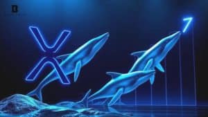 xrp